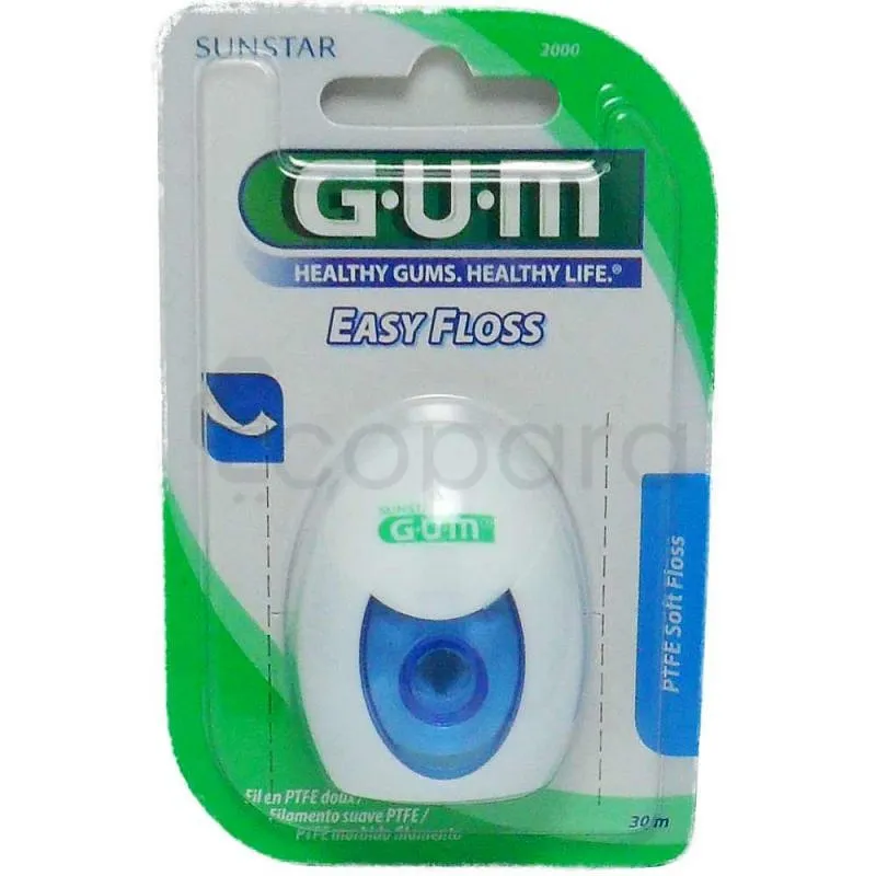 Gum Fil Dentaire Easy Floss Reference 2000