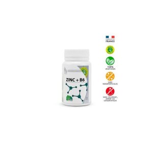 Mgd Zinc + B6 Boite De 60 Gelules
