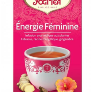 YOGI TEA EQUILIBRE FEMININ 17*2 G