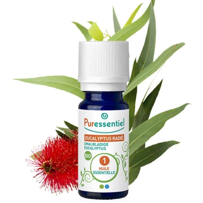 PURESSENTIEL HUILE ESSENTIELLE EUCALYPTUS RADIE 10 ML